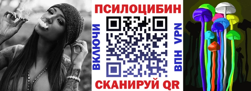 blacksprut зеркало  что такое   Беломорск  Псилоцибиновые грибы MAGIC MUSHROOMS 